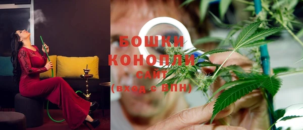 прущие грибы Бронницы