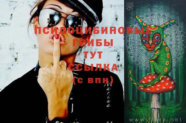 каннабис Богданович