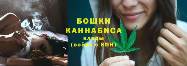 сатива Верхний Тагил