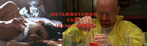 прущие грибы Бронницы
