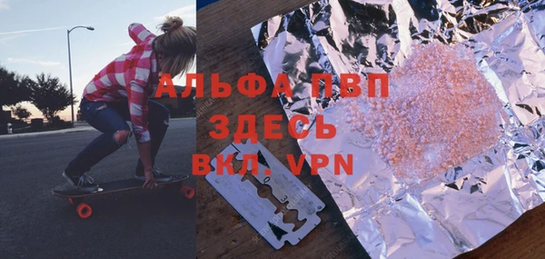 прущие грибы Бронницы