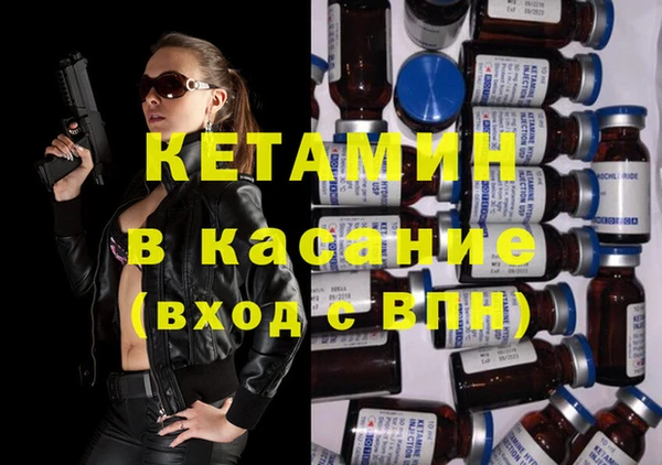 прущие грибы Бронницы