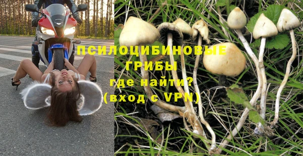 кристаллы Бородино