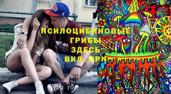 спайс Каменка