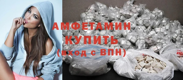 прущие грибы Бронницы