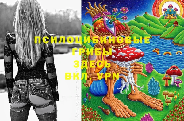 сатива Верхний Тагил