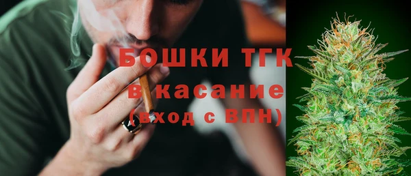 сатива Верхний Тагил