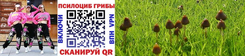 купить сайты нарко площадка наркотические препараты Галлюциногенные грибы ЛСД Изобильный kraken ссылки